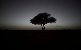 Ecolodge camp Larbi cheikh